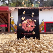 Café en grano, corazón de león en grano 500 Gramos - Image 2