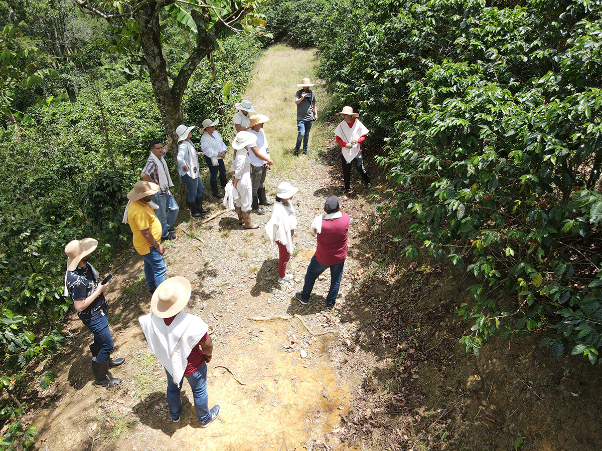 Tour del cafe en medellin